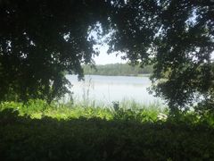 -大湾区中央湿地公园