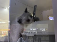 -万达广场(太原街店)