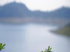 -天台山琼台仙谷景区