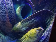 -太平洋海底世界