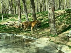 -北京野生动物园