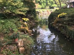 -上海醉白池公园