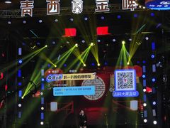 -第35届青岛国际啤酒节