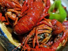 怪怪十三香龙虾大份-怪怪龙虾·来自江苏盱眙(惊驾路店)