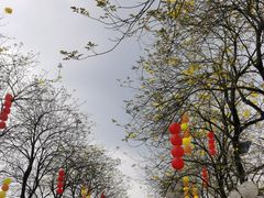 -盈香心动乐园
