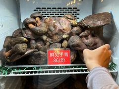 -太婆天府山珍酒楼(亚运村店)