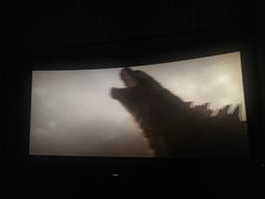 -博纳国际影城(南联IMAX店)