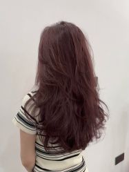 -YESIDO椰岛造型