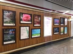 -上海游泳馆(地铁站)