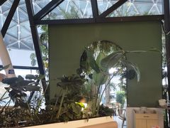 -Jazz·ya 爵士屋(来福士店)