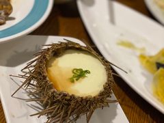 海胆蒸蛋-双合园·海鲜水饺青岛菜(万佳广场店)