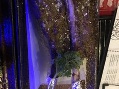 -质烤烤物·活烤海鲜(质烤总店)