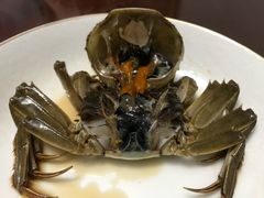 -黄记大闸蟹专卖店·活蟹·醉蟹