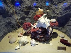 -北海·海洋之窗