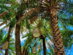 -厦门日月谷温泉渡假村