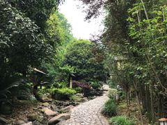 -明月山天沐温泉度假村