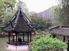 -上海醉白池公园