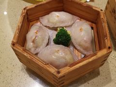 -正哥点心皇子(阳江新达城店)