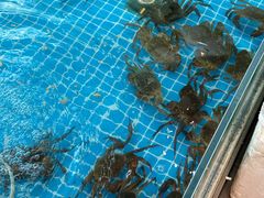 -品鲜村农家菜·阳澄湖大闸蟹(总店)