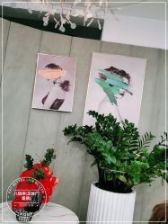 点击看大图 -八佰伴8008星级形象店