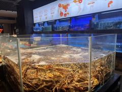 -徐记海鲜(大明宫|北二环店)