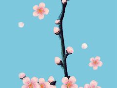 -乐道好声音量贩式KTV(北行店)