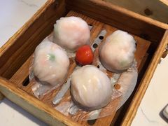 悦满楼虾饺皇-悦满楼·西关名点·湛江名菜(航空综合大厦店)