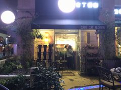 门面-吉丁鸟咖·异宠·寄养