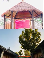 -塔元庄景区