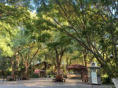 -昆山城市生态森林公园