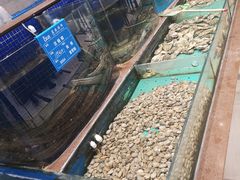 水产区-蓝港海鲜厨房(金水路店)