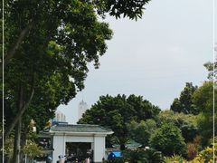 -晓港公园
