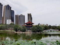 -青城公园