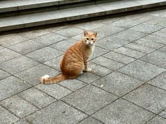-晓港公园