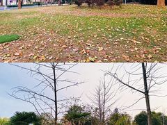 -河南省黄河迎宾馆