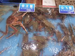 -双井轩(双井店)