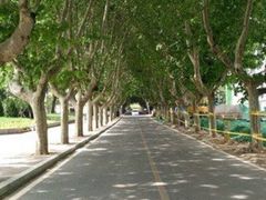 -大连理工大学(凌水校区)