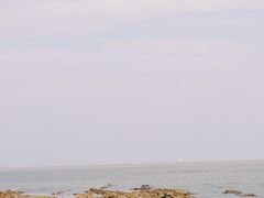 -日照海滨国家森林公园