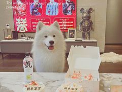 -壹点壹客·生日蛋糕(南山店)