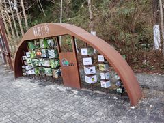 -广州市流溪河国家森林公园