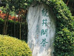 -龙井村