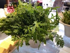 -应时肥牛火锅居(联合路店)