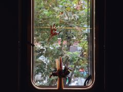 景观位-Hei Cafe(工体店)