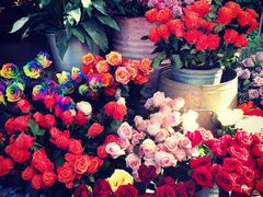-The Grounds of Alexandria