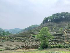 -杭州灵山景区