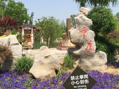 -武清南湖绿博园