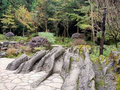 -梭布垭石林景区