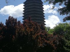-玲珑塔公园