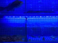 -江南福宴·澳门海鲜.牛肉火锅(汇高栢悦中心店)
