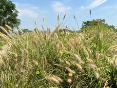 -良渚古城遗址公园